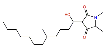 Melophlin C